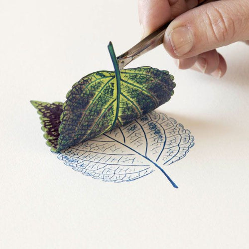 Workshop – Botanical Monoprinting