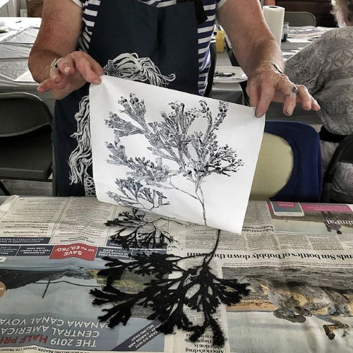 Workshop – Botanical Monoprinting