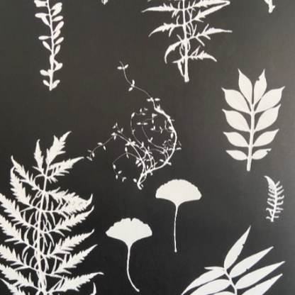 Workshop – Botanical Monoprinting